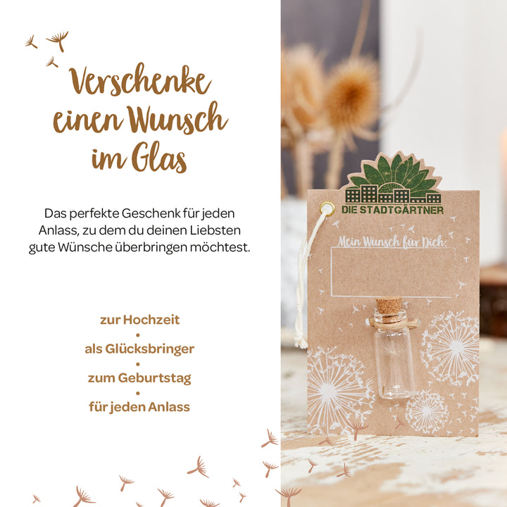 Image publicitaire pour un concept cadeau « Wish in a Jar » avec du texte, un verre sur une carte et des fleurs séchées en arrière-plan.