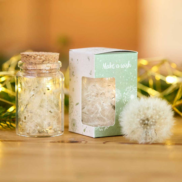 Réalisateur de vœux avec parapluie en pissenlit