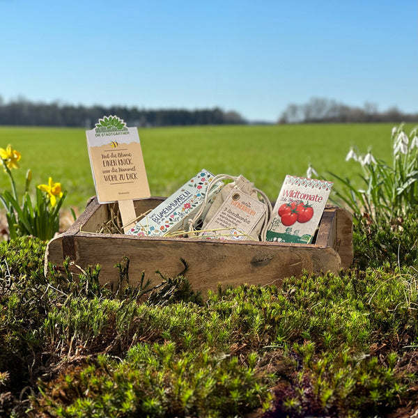 Boîte en bois avec des sachets de graines et des outils de jardinage sur une prairie au printemps.
