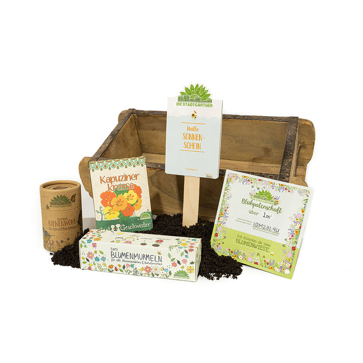 Kit horticole avec divers sachets de graines et matériel de plantation sur une table en bois.