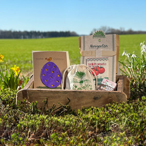 Ensemble de décoration et de jardinage de Pâques avec des sachets de graines dans une boîte en bois pour l'extérieur, avec une carte souhaitant « Joyeuses Pâques ».