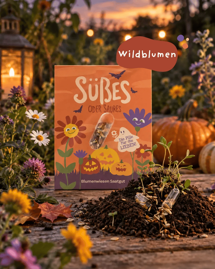 Coffret de 2 - Pilule de graines d'Halloween « Des bonbons ou un sort »