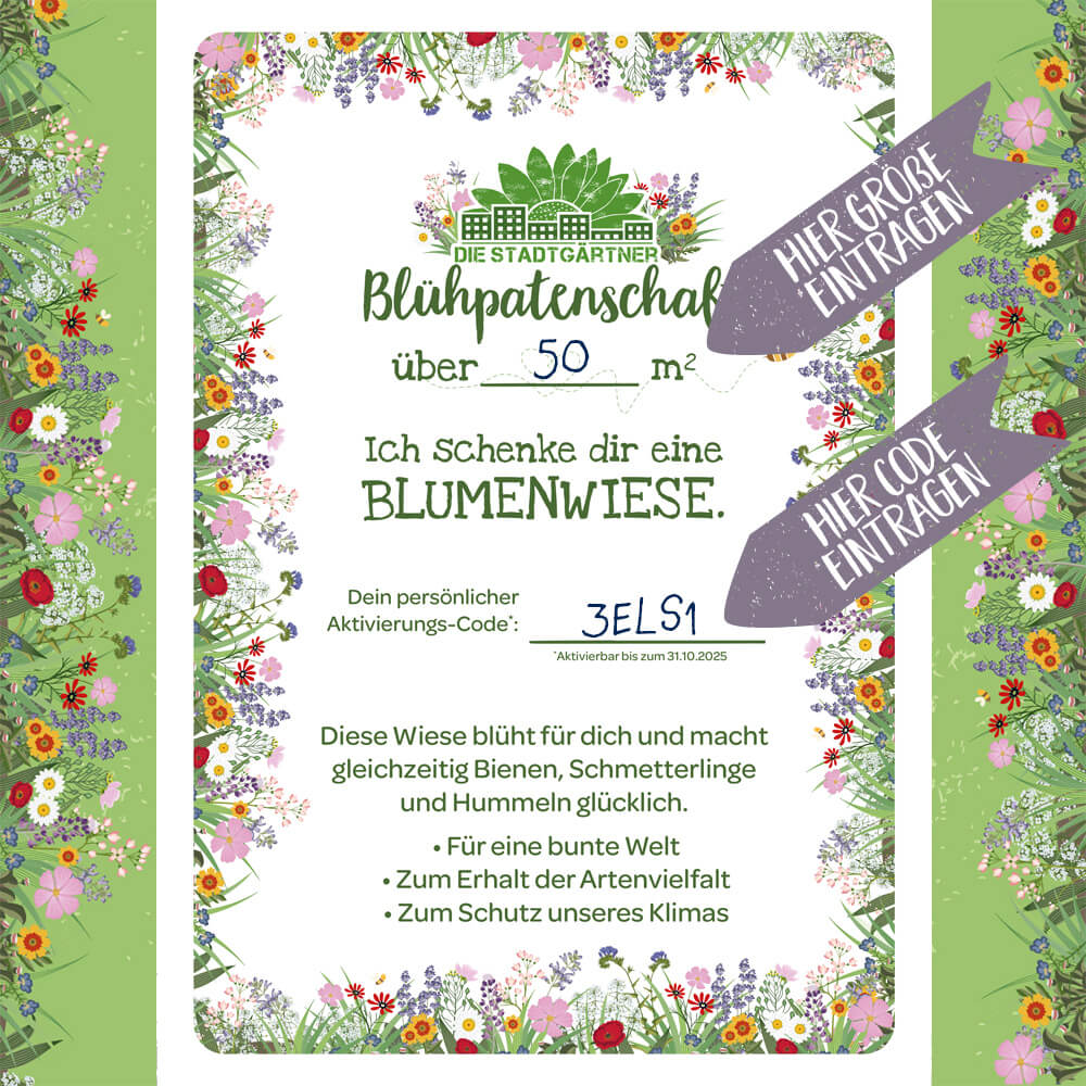 Certificat de parrainage de fleurs avec motif de prairie fleurie, texte pour une prairie fleurie de plus de 50 mètres carrés, champs de code d'activation personnalisés, cadres colorés avec des fleurs et flèches indiquant « Entrez la taille ici » et « Entrez le code ici ».