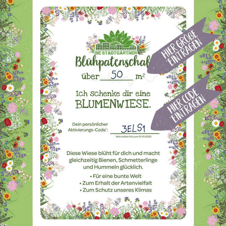 Certificat de parrainage de fleurs avec motif de prairie fleurie, texte pour une prairie fleurie de plus de 50 mètres carrés, champs de code d'activation personnalisés, cadres colorés avec des fleurs et flèches indiquant « Entrez la taille ici » et « Entrez le code ici ».