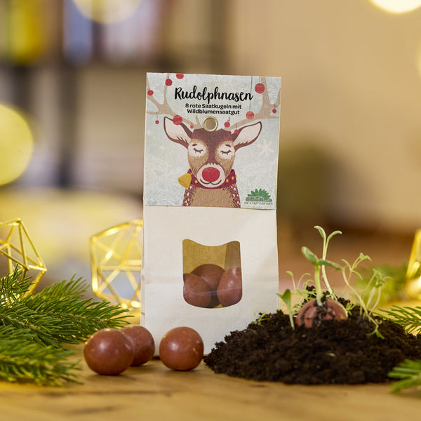 Sac en papier avec l'inscription « Rudolph Noses » et une illustration d'un renne, contenant des boules de graines rouges pour les fleurs sauvages ; certaines boules reposent sur la table, une boule germe dans le sol.