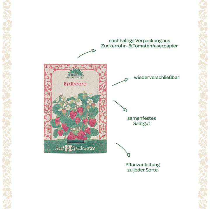Sachets de graines de fraises avec emballage durable, graines à pollinisation libre, emballage refermable et instructions de plantation.