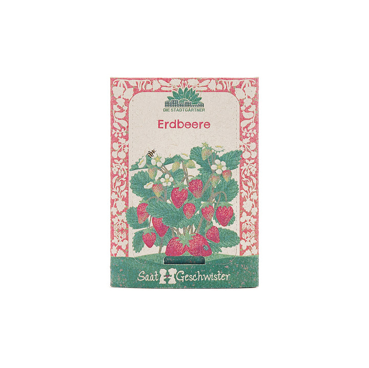 Sachet de graines de fraises avec une image d'un fraisier, de fleurs et de fruits sur l'étiquette.