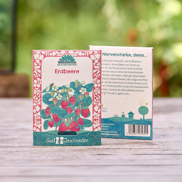 Deux sachets de graines de fraises avec des plants de fraises illustrés et des motifs décoratifs, posés sur une table en bois à l'extérieur.