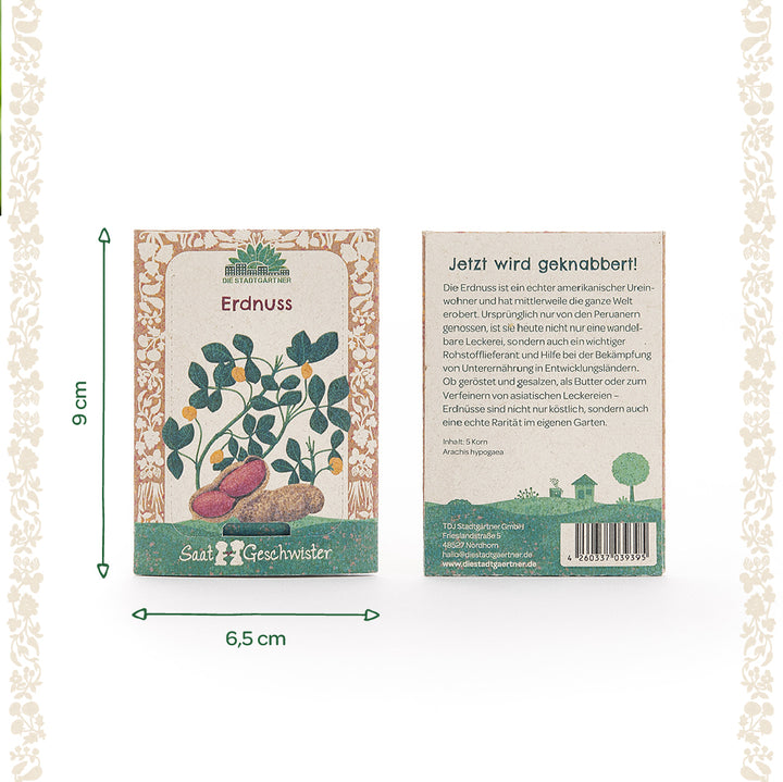 Deux sachets de graines d'arachide de la marque « Saatgeschwister » avec une illustration d'un plant d'arachide au recto et une description du produit au verso. Les dimensions sont indiquées : 9 cm de haut et 6,5 cm de large.