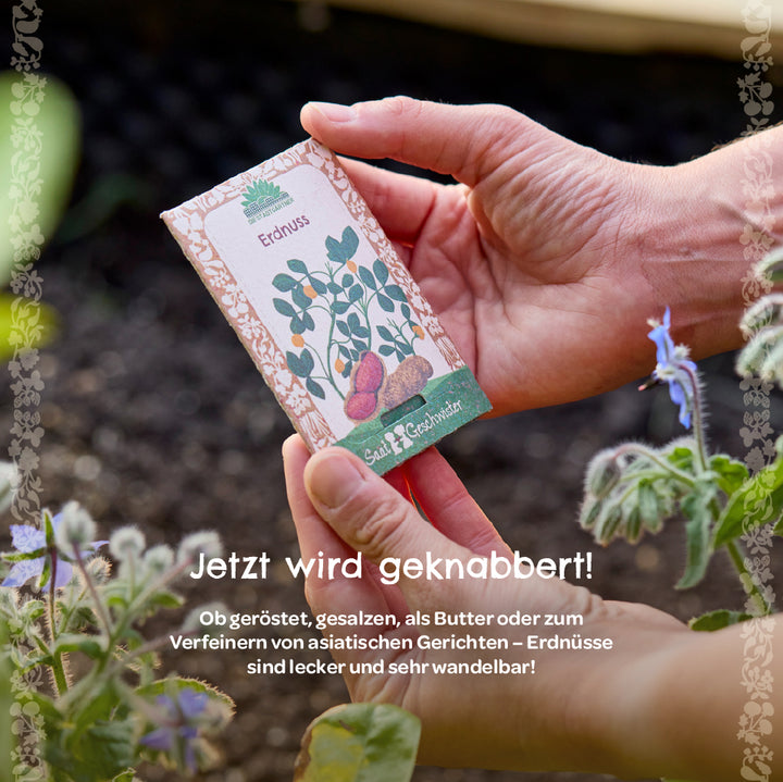 Deux mains tiennent un paquet de graines d'arachide devant un parterre de jardin, avec des plantes et une fleur violette visibles au premier plan.