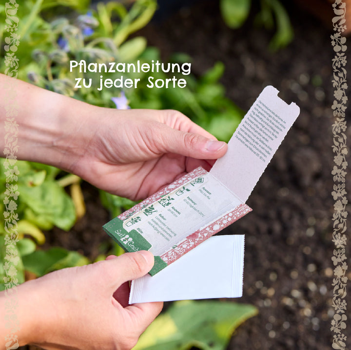 Deux mains tiennent un paquet de graines ouvert avec des instructions de plantation, en arrière-plan un parterre de jardin avec des plantes vertes.