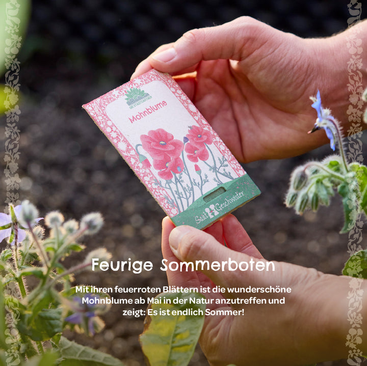 Une main tient un sac de graines de pavot dans le jardin à côté de plantes à fleurs.