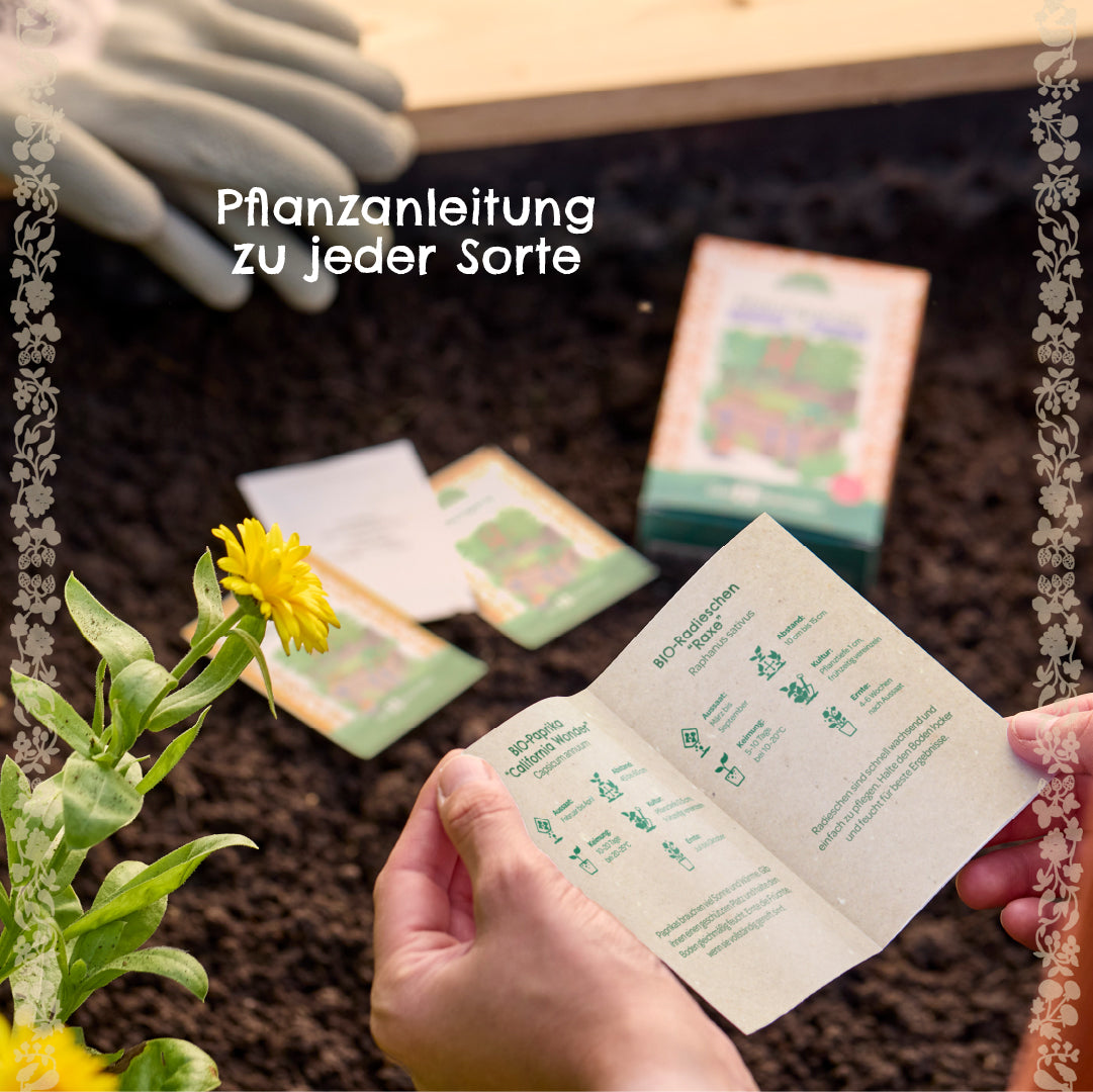 Une personne tenant des instructions de plantation dans le jardin, en arrière-plan des gants, une fleur jaune et divers sachets de graines reposent sur le sol.