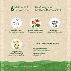 Six variétés de graines de fleurs biologiques décoratives et savoureuses avec illustrations : bleuet, capucine, bourrache, souci, ainsi que chrysanthèmes et soucis comestibles.