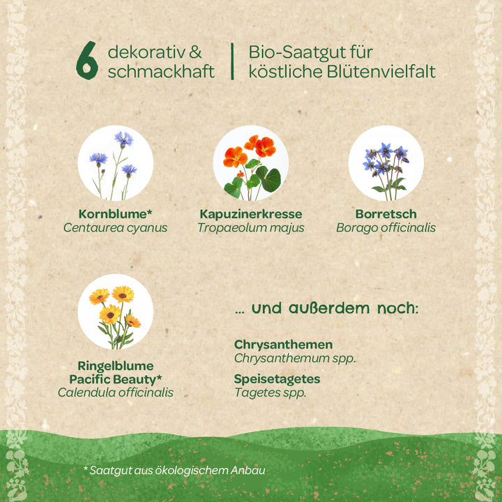 Six variétés de graines de fleurs biologiques décoratives et savoureuses avec illustrations : bleuet, capucine, bourrache, souci, ainsi que chrysanthèmes et soucis comestibles.