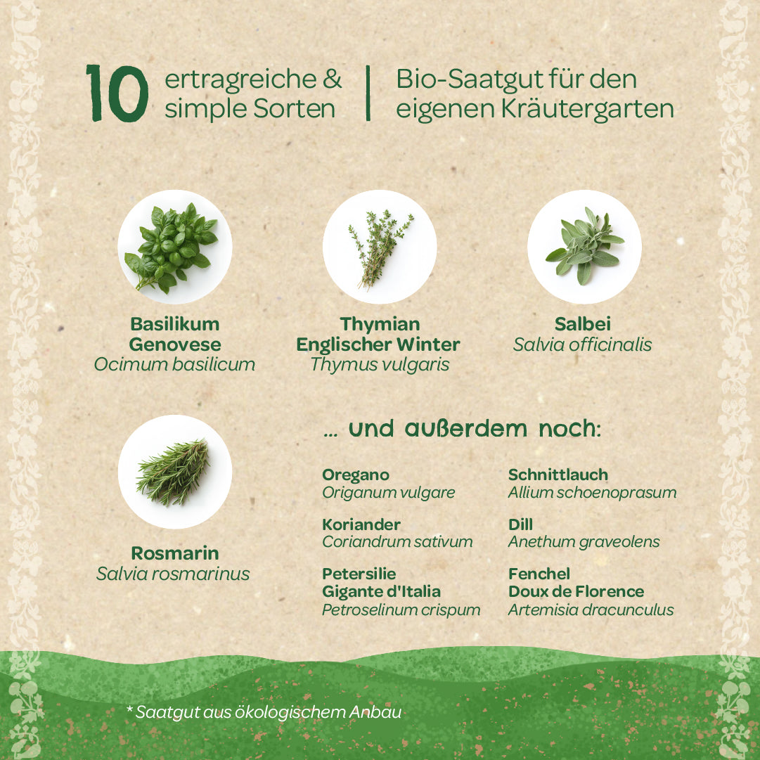Graphique montrant dix herbes faciles et productives cultivées à partir de graines biologiques, notamment le basilic, le thym, la sauge et le romarin, ainsi que d'autres herbes répertoriées telles que l'origan, la coriandre et la ciboulette.