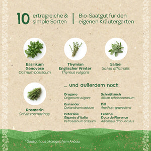 Graphique montrant dix herbes faciles et productives cultivées à partir de graines biologiques, notamment le basilic, le thym, la sauge et le romarin, ainsi que d'autres herbes répertoriées telles que l'origan, la coriandre et la ciboulette.