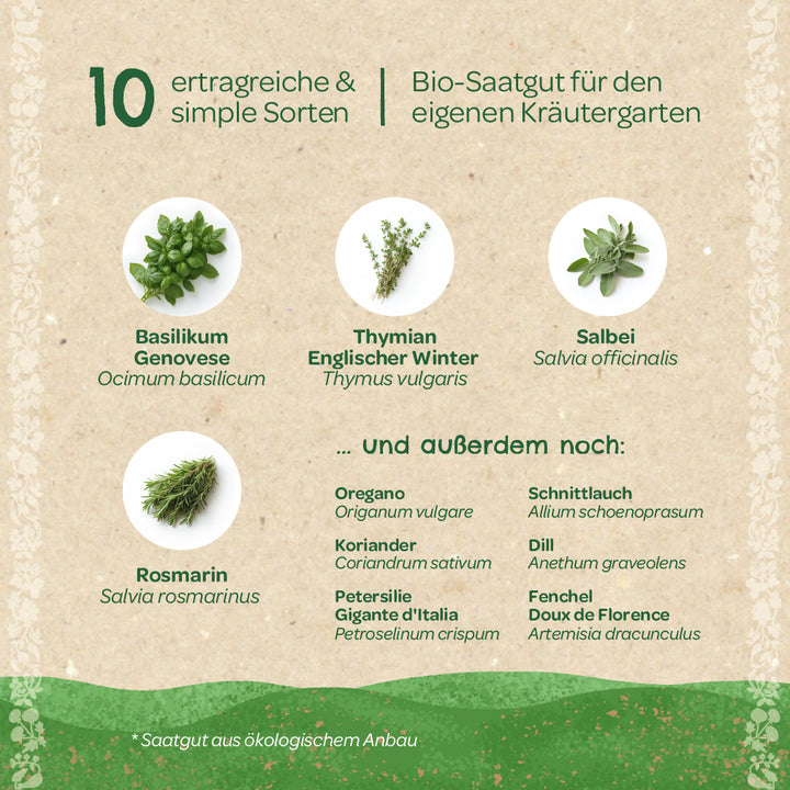 Graphique montrant dix herbes faciles et productives cultivées à partir de graines biologiques, notamment le basilic, le thym, la sauge et le romarin, ainsi que d'autres herbes répertoriées telles que l'origan, la coriandre et la ciboulette.