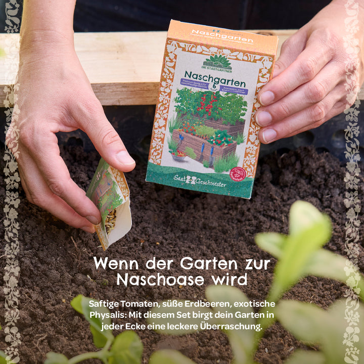 Une personne tenant un paquet de graines de « jardin de collation » et dispersant des graines dans le sol, entourée de plantes et de texte sur les avantages de l'ensemble.