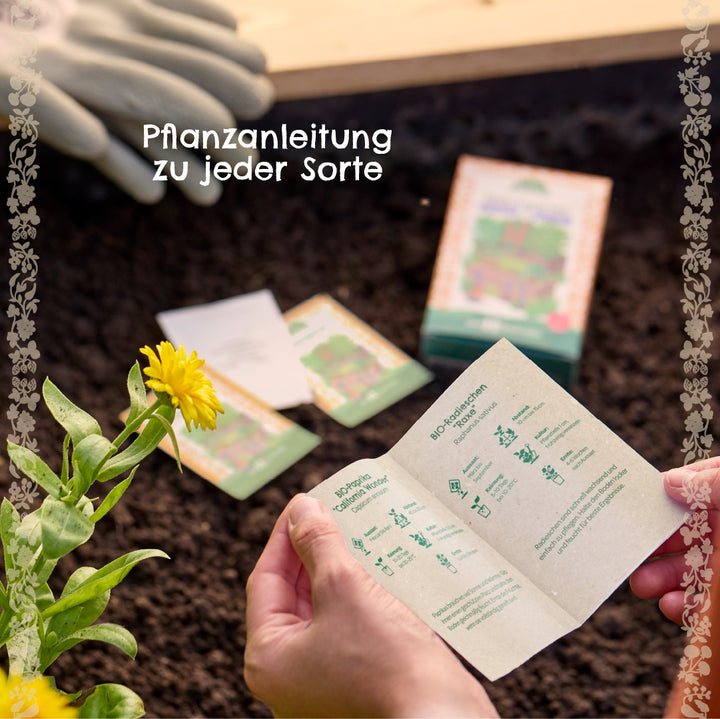 Des mains tiennent des instructions de plantation au-dessus d'un lit, en arrière-plan des sachets de graines et des gants de jardinage, à côté d'une fleur jaune.