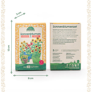 Deux ensembles de graines de tournesol au design jaune-orange, recto avec illustrations de tournesols, verso avec description et liste des variétés ; dimensions 12 cm de hauteur, 8 cm de largeur, 3 cm de profondeur.