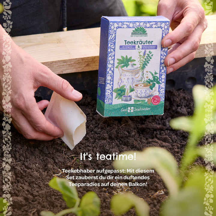 Gros plan de mains tenant une boîte de graines d'herbes à thé et un sachet de graines au-dessus du sol dans un lit surélevé, avec le texte « C'est l'heure du thé ! » et une description pour un kit d'herbes à thé.