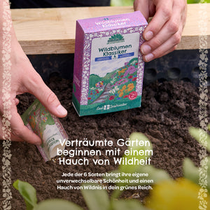 Une personne tient un paquet de graines colorées « Wildflower Classics » au-dessus de la terre fraîche dans un jardin ; le texte décrit les graines de fleurs sauvages, soulignant le caractère sauvage des jardins de rêve.