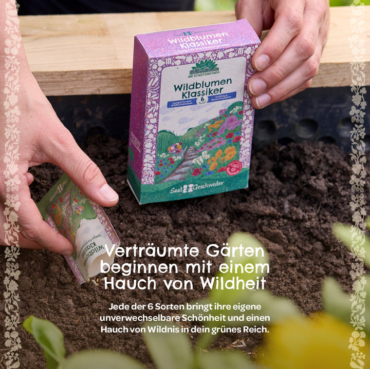 Une personne tient un paquet de graines colorées « Wildflower Classics » au-dessus de la terre fraîche dans un jardin ; le texte décrit les graines de fleurs sauvages, soulignant le caractère sauvage des jardins de rêve.