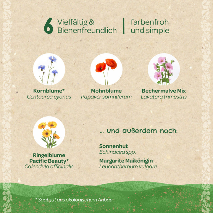 Illustration avec six espèces de fleurs favorables aux abeilles : le bleuet, le pavot, la mauve mixte, le souci, l'échinacée et la marguerite, chacune avec son nom botanique en allemand et en latin, présenté sur un fond beige.