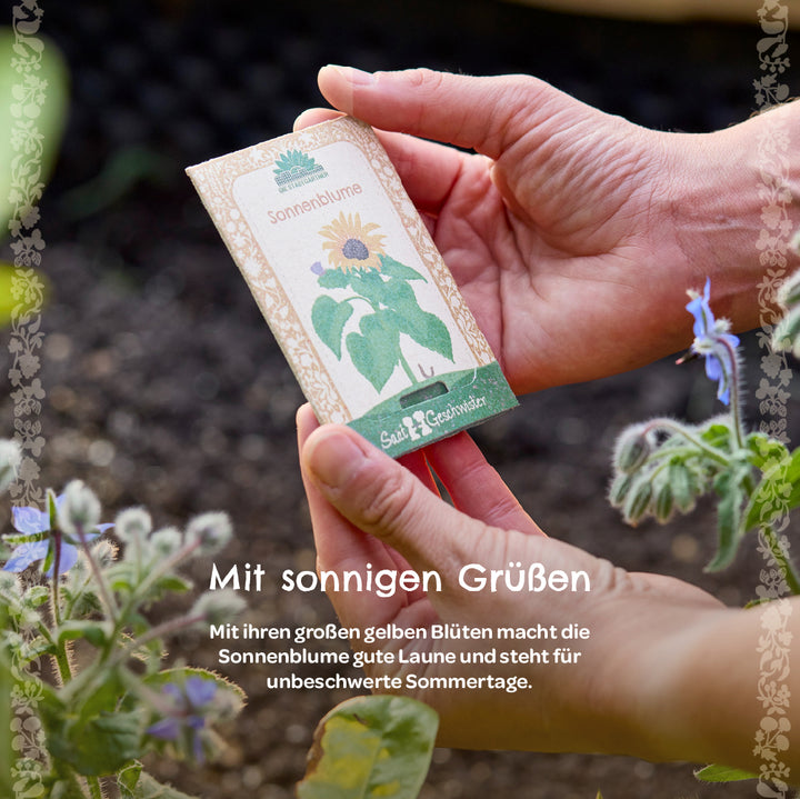 Deux mains tenant un paquet de graines de tournesol dans le jardin, avec des plantes à fleurs et de la terre en arrière-plan.