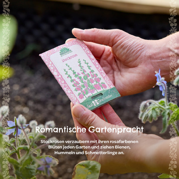 Une main tient un paquet de graines de rose trémière devant un parterre de jardin, avec des plantes et des fleurs au premier plan.