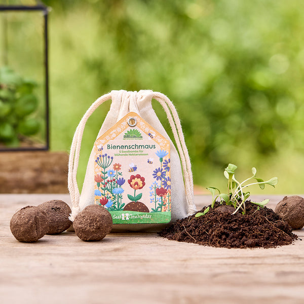 Sac étiqueté « Bee Feast » à côté de bombes à graines, de terre et de jeunes plants sur une table en bois extérieure.