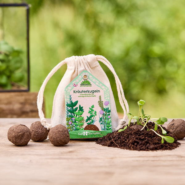 Sacs en tissu étiquetés « Herbal Balls » et présentant des illustrations d'herbes, entourés de bombes de graines et de jeunes pousses de plantes sur une table en bois.