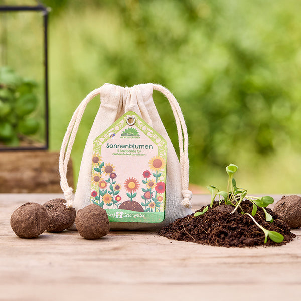 Sac en tissu avec des bombes de graines de tournesol sur une table en bois, à côté de la terre avec de jeunes plants et plus de bombes de graines, la nature verte en arrière-plan.