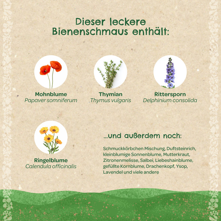 Alt="Illustration de diverses plantes mellifères : pavot (Papaver somniferum), thym (Thymus vulgaris), pied-d'alouette (Delphinium consolida) et souci officinal (Calendula officinalis). Une liste d'autres espèces végétales est également incluse."