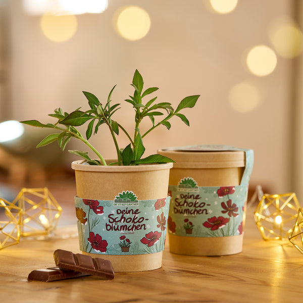 Deux pots de fleurs avec des plantes à fleurs en chocolat sur une table en bois, entourés de guirlandes lumineuses et de morceaux de chocolat.
