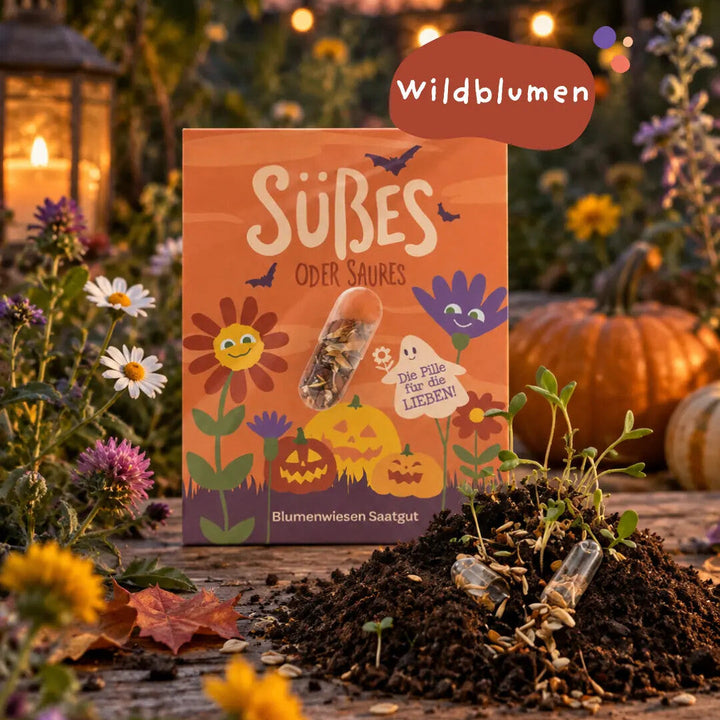 Pilule de graines Halloween "Des bonbons ou un sort" - Sucré