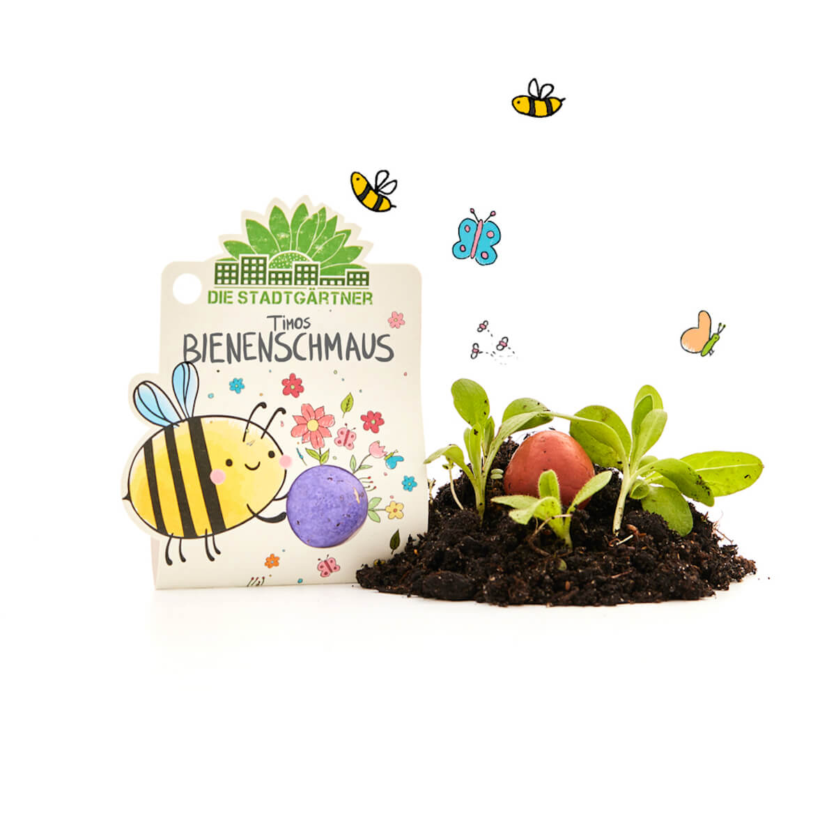 Kit de plantation avec graines, terreau et semis, décoré d'un dessin coloré d'une abeille, de fleurs et de papillons ; l'inscription « Les jardiniers de la ville - Le festin des abeilles de Timo ».