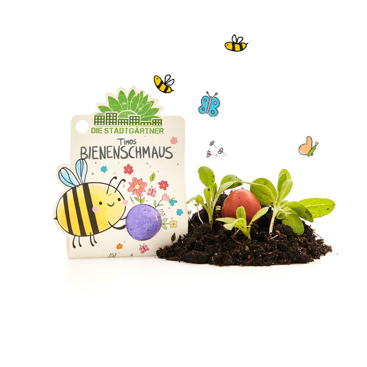 Kit de plantation avec graines, terreau et semis, décoré d'un dessin coloré d'une abeille, de fleurs et de papillons ; l'inscription « Les jardiniers de la ville - Le festin des abeilles de Timo ».
