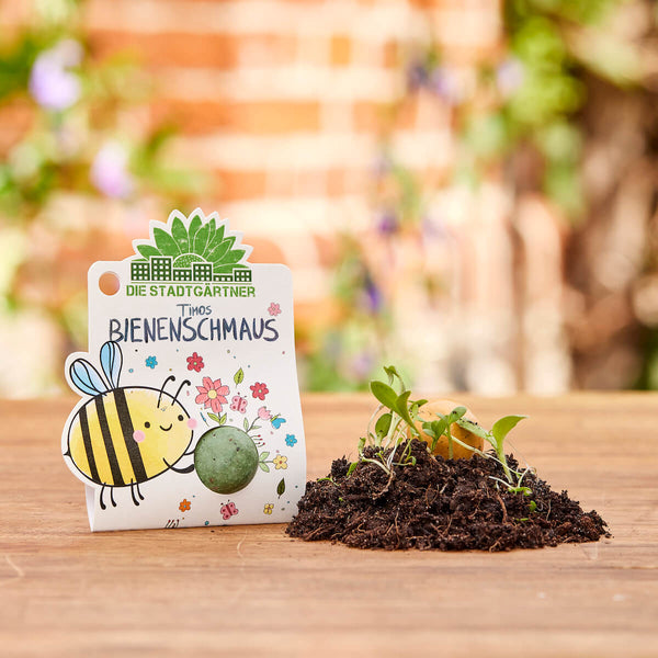 Paquet avec l'inscription « Le festin des abeilles de Timo, le jardinier de la ville » et un dessin d'une abeille à côté d'un petit tas de terre avec de jeunes plantes sur une table en bois.