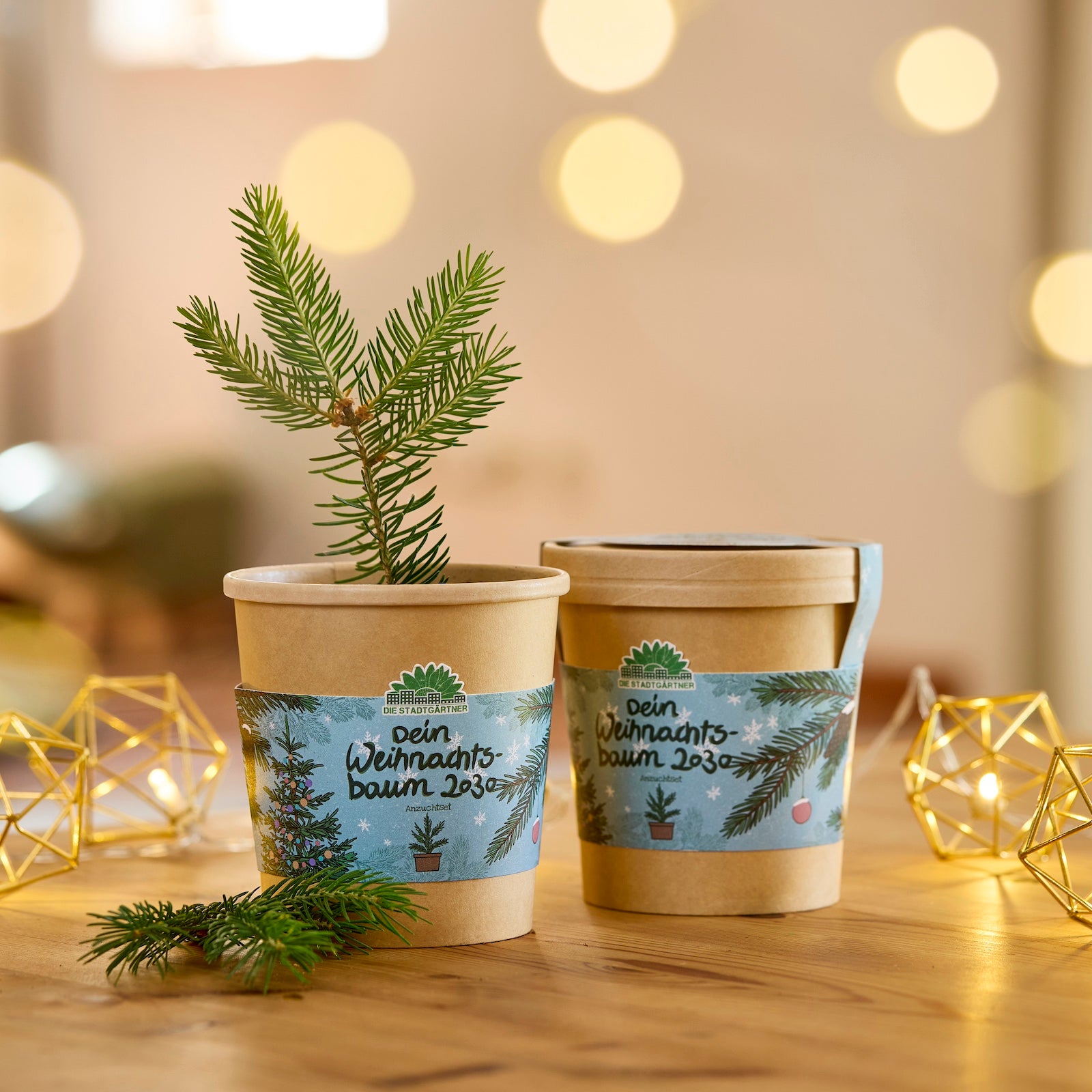 Deux pots de fleurs marron avec l'inscription « Votre sapin de Noël 2030 », l'un avec une petite branche de sapin, sur une table en bois avec des guirlandes lumineuses en arrière-plan.