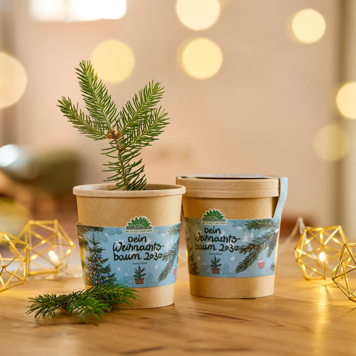 Deux pots de fleurs marron avec l'inscription « Votre sapin de Noël 2030 », l'un avec une petite branche de sapin, sur une table en bois avec des guirlandes lumineuses en arrière-plan.