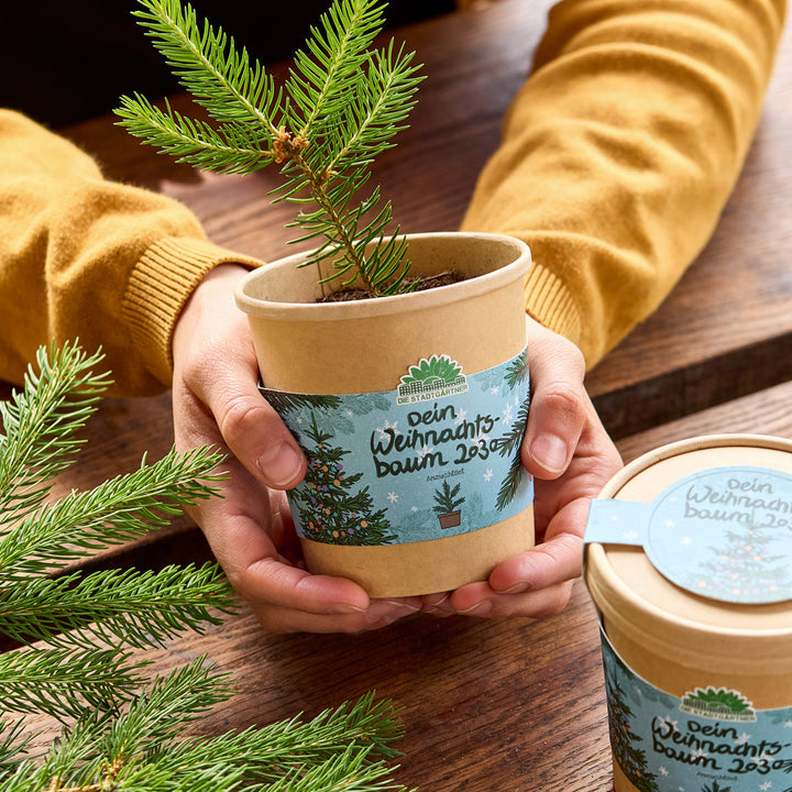 Deux mains tiennent un petit plant d'arbre de Noël dans un pot de fleurs marron avec une étiquette « Votre arbre de Noël 2023 » sur une table en bois.