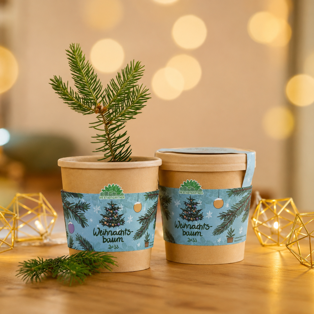 Sapin de Noël 2030 de la coupe