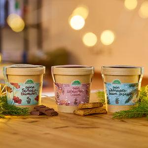 Trois pots de fleurs décoratifs avec des étiquettes festives se dressent sur une table en bois, entourés de branches de sapin, de chocolat et de pain d'épices ; des lumières chaudes et floues en arrière-plan.
