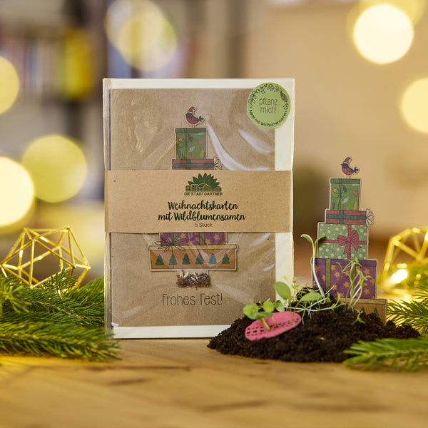 Ensemble de cartes de Noël avec des graines de fleurs sauvages, des motifs de cadeaux et une petite plante sur terre, entourée de branches de sapin, dans une pièce décorée pour Noël.