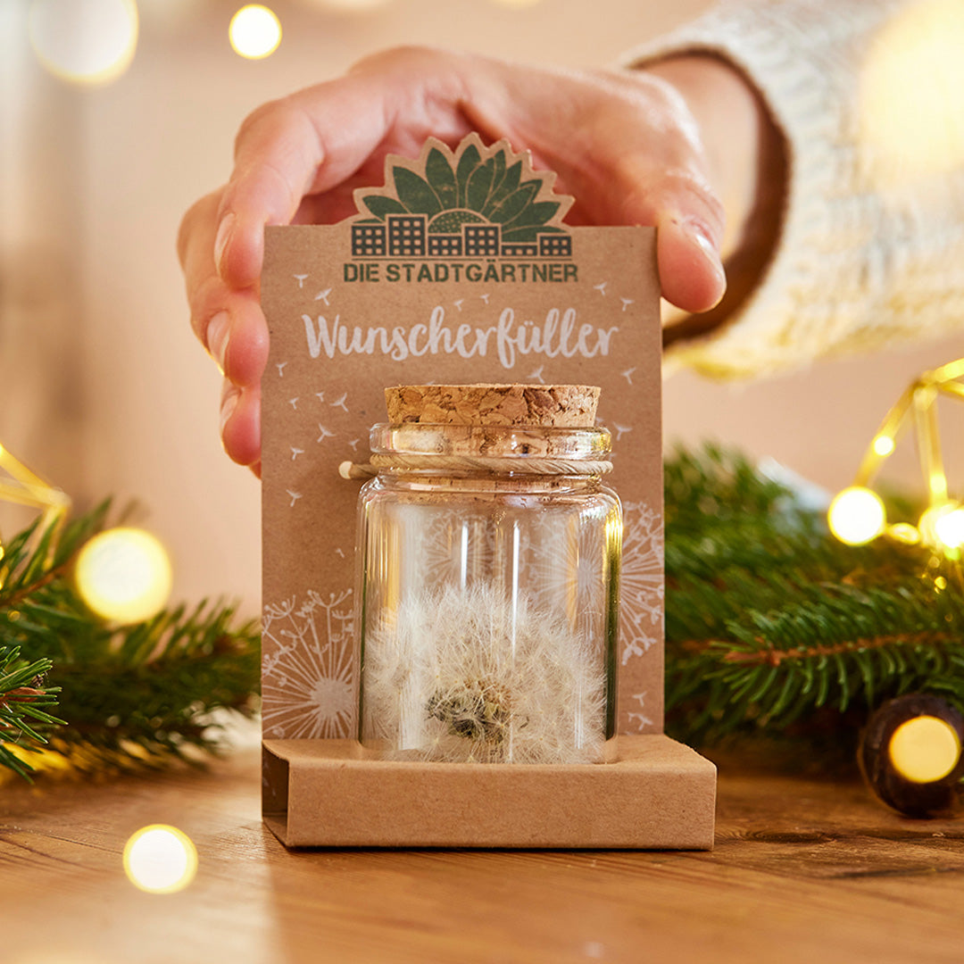 Une main tient une bouteille en verre contenant des vœux de pissenlit, emballée de manière décorative avec l'inscription « Wish Fulfiller » de Die Stadtgärtner ; à l'arrière-plan se trouvent des lumières de Noël et des branches de sapin.