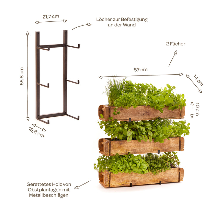 Étagère murale en métal et bois, dimensions et détails étiquetés en allemand, avec compartiments en bois plantés pour les herbes.
