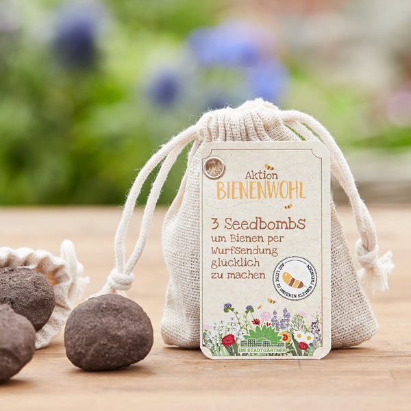 Seedbombs 3er Bienenwohl - Bombes à graines pour abeilles