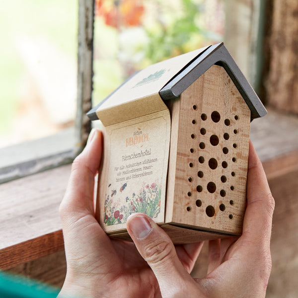 Une main tient un petit hôtel à insectes en bois avec de nombreux trous devant une fenêtre.